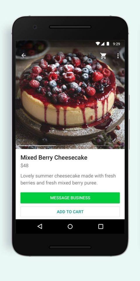 Customer browsing catalog products inside a WhatsApp chat
