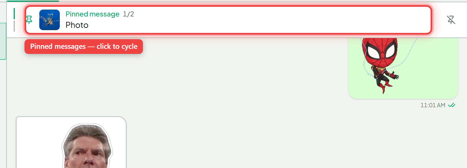 The pinned-message banner at the top of a conversation
